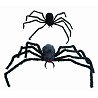 Araignée géante poilue