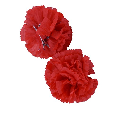 CARNATION
