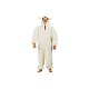 Costume de petit mouton