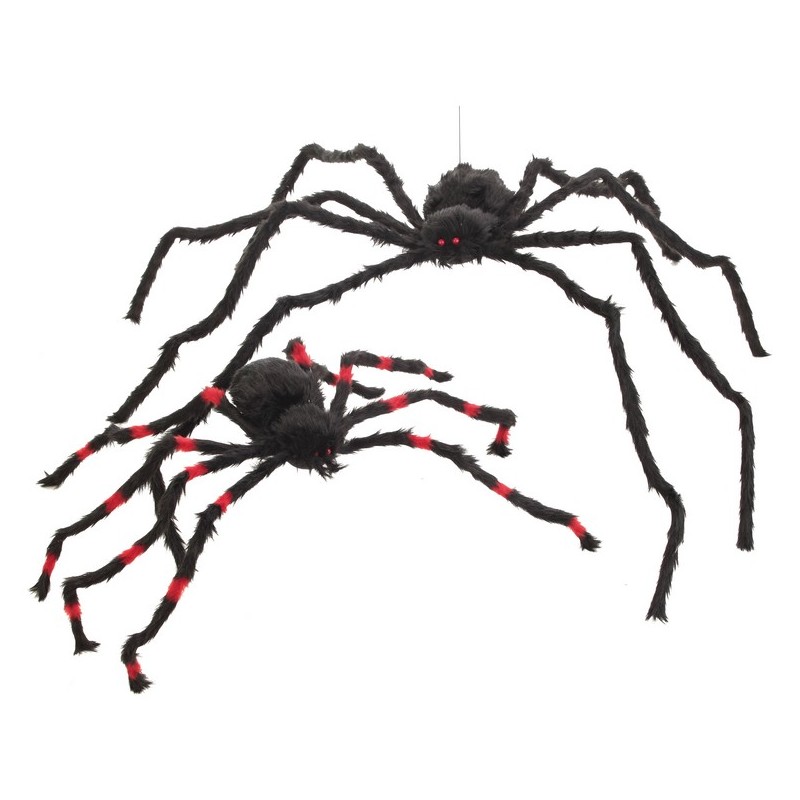 Araignée rayures rouge Med.