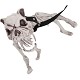 Squelette pour chien 60 cm