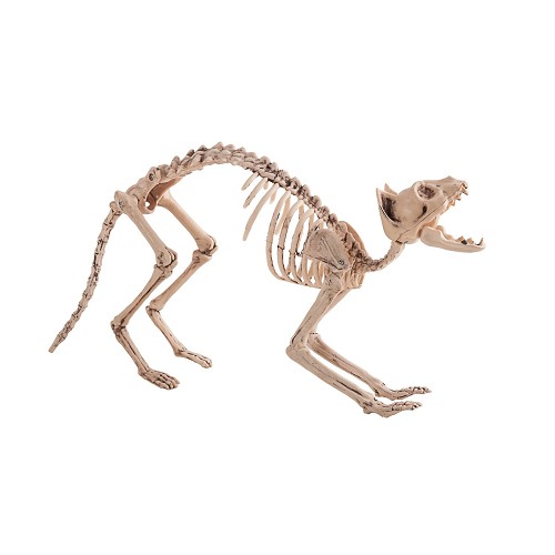 Squelette Jack 60 X 25 cm.
