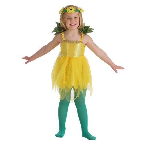 Reine des fleurs des costumes pour enfants