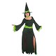 Costume adulte sorcière verte