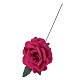 Rose fushia 15 cm