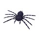 24 cm en plastique noir spider H0040