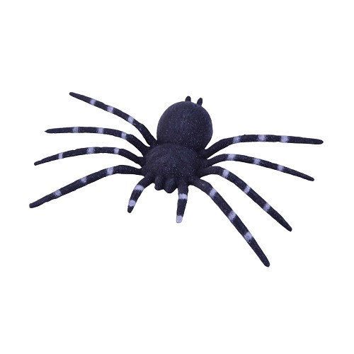 24 cm en plastique noir spider H0040