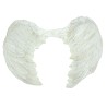 Alas Angel Plumas