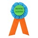 Broche Insignia Fluor