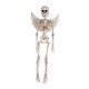 Esqueleto Angel 50 cm