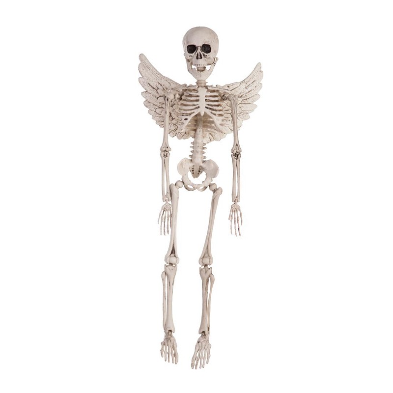 Esqueleto Angel 50 cm