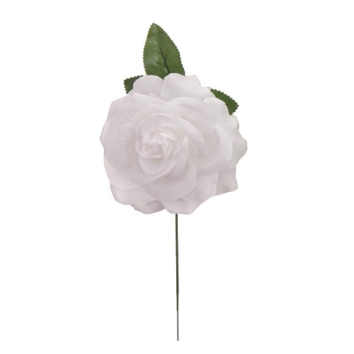 Rosa Blanca 15 cm