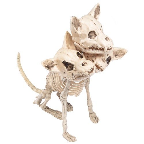 Esqueleto De Perro Con 3 Cabezas