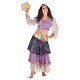 Costume adulte danseuse arabe